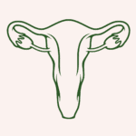 Femmegetic, menstruatie na de bevalling